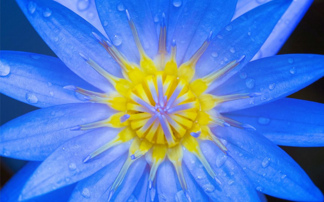 Les énergies de la Lunaison du 19 mars au 16 avril 2026