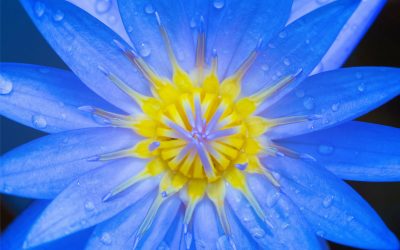 Les énergies de la Lunaison du 19 mars au 16 avril 2026